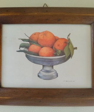 Stampa botanica con arance