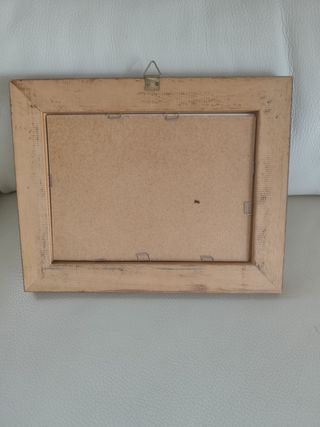 Stampa botanica con arance