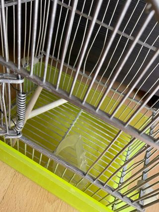 Jaula para pájaros plateada y verde