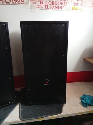 Bafles / Altavoces Negro y Azul