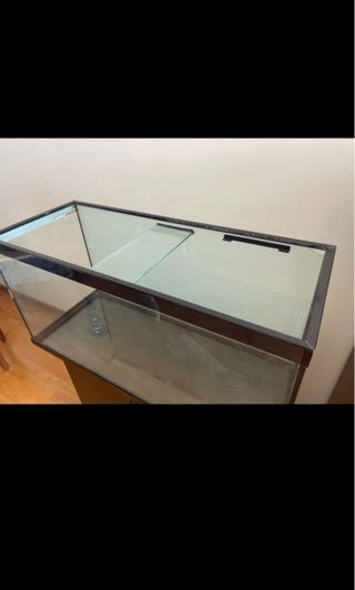 Acuario