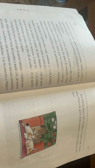 Platero Contado A Los niños (Rustica)