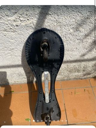 Oxola Snake Skate