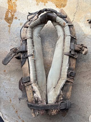 Collarín de caballería