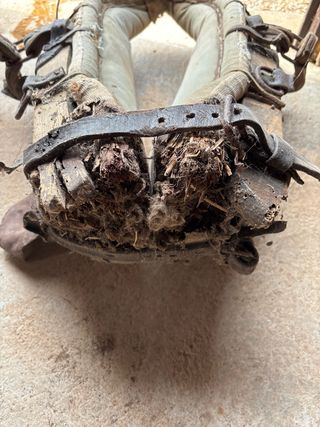 Collarín de caballería