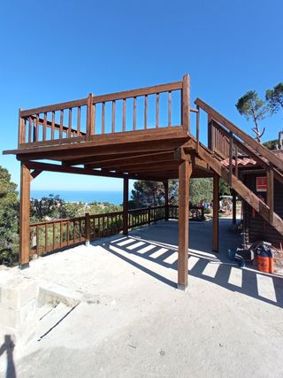 Carpintero profesional