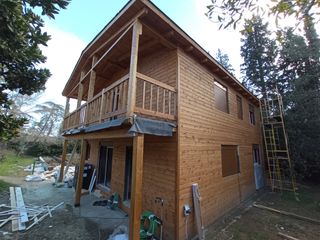 Carpintero profesional