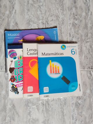 Libros 6 primaria