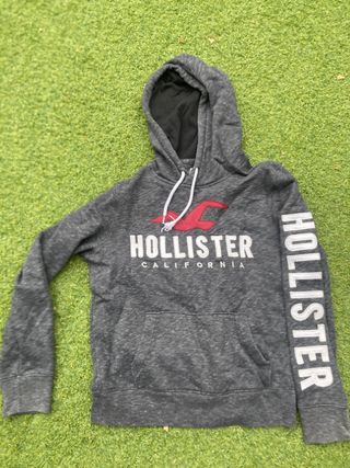 Sudadera Hollister niño gris 