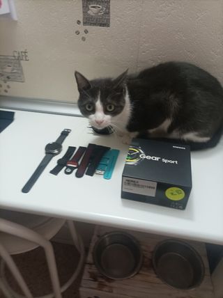 Samsung Gear Sport Smartwatch + Correas(sin el gat