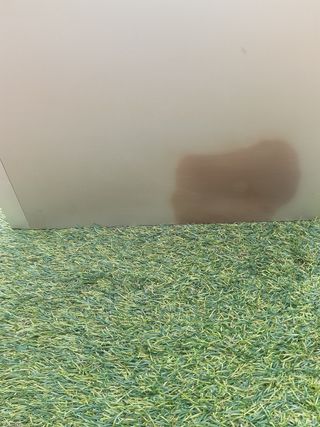 Altavoces Biswal Diseni n-51 hs