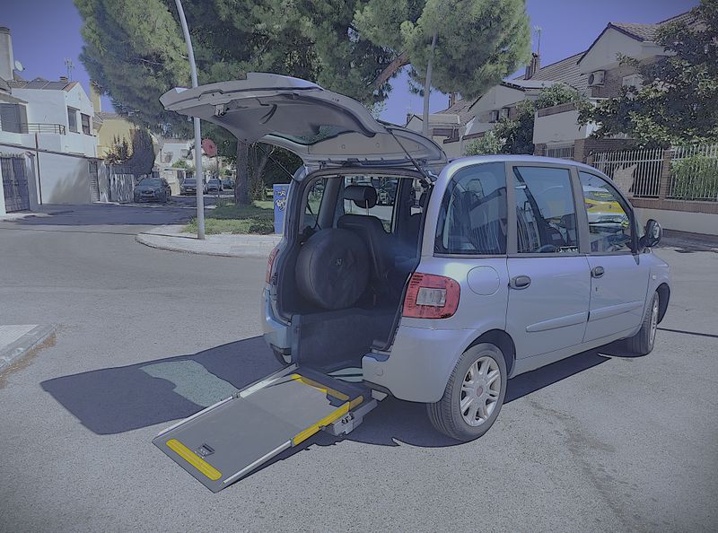MULTIPLA, EL ADAPTADO MAS INTEGRADOR. - foto 1
