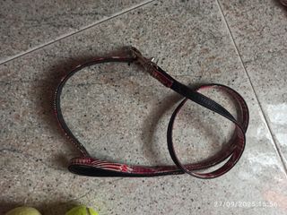 Set collare e guinzaglio come nuovo