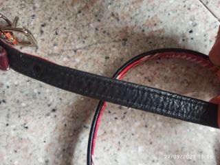 Set collare e guinzaglio come nuovo