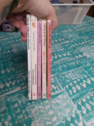 Libro literatura clásica