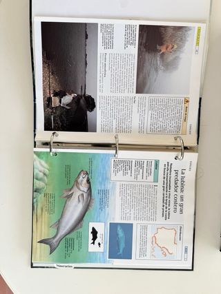 Colección VHS Pesca (14 Volúmenes)