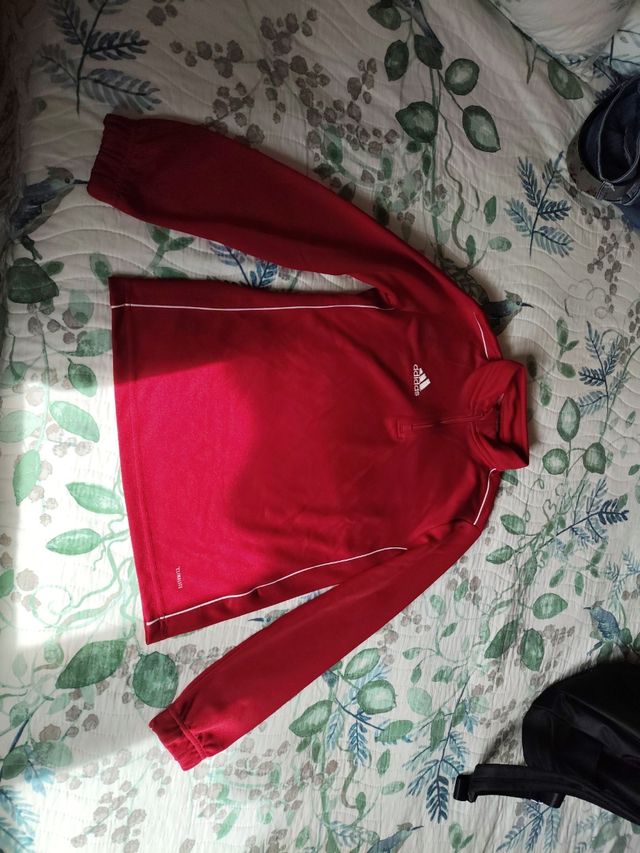 Polo Adidas Rojo Niño