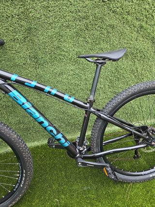Bianchi Duel 29s Alivio 2023