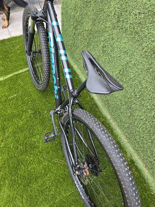 Bianchi Duel 29s Alivio 2023
