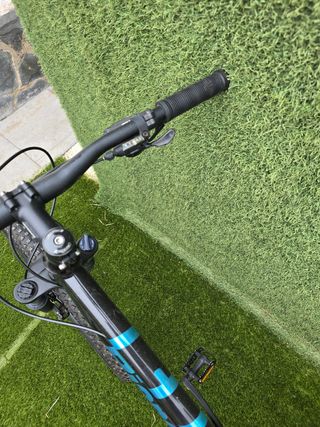 Bianchi Duel 29s Alivio 2023