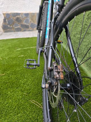Bianchi Duel 29s Alivio 2023