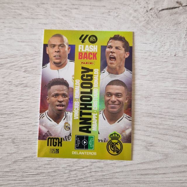 nº 440 Flashback Anthology - MGK 2025/26