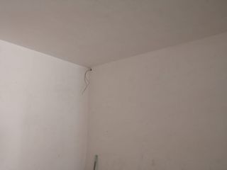 Pladurista escayolista yesista