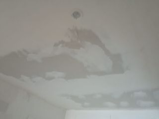 Pladurista escayolista yesista