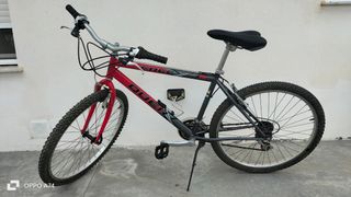 Bicicleta de Montaña