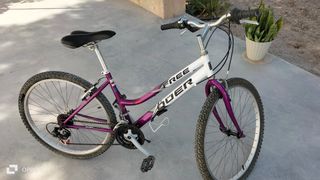 Bicicleta de Montaña