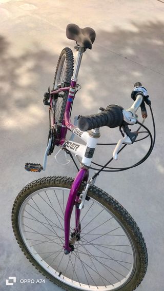 Bicicleta de Montaña