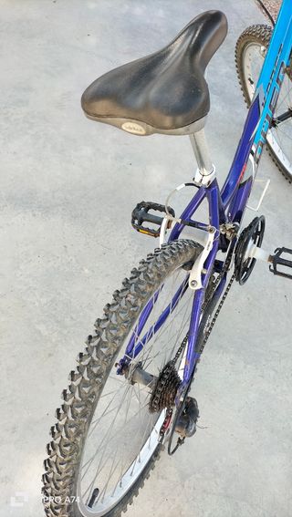 Bicicleta de Montaña