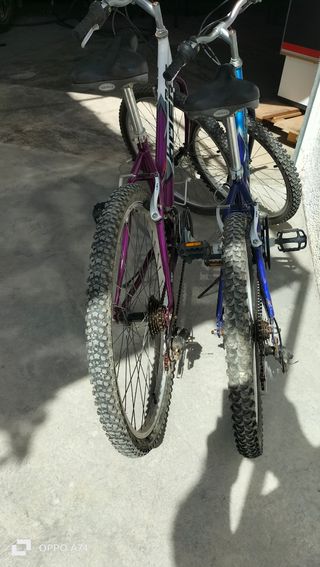 Bicicleta de Montaña