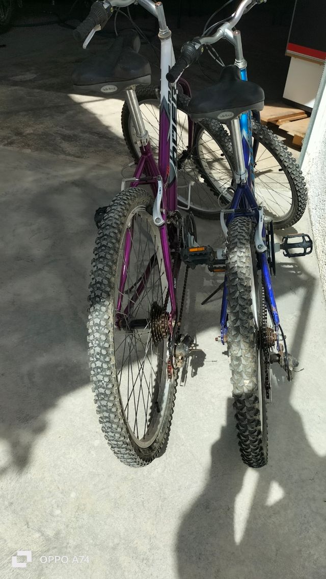 Bicicleta de Montaña