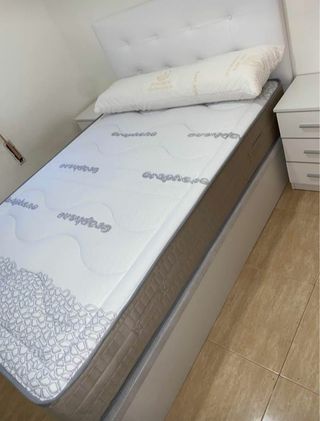 sofas sofas sofas sofas sofas sofas