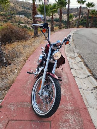 Harley Davidson XL1200 Custom