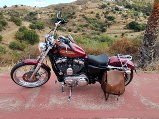 Harley Davidson XL1200 Custom