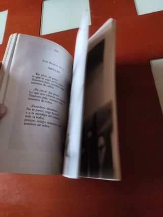 Poesía española para jóvenes (Spanish Edition)