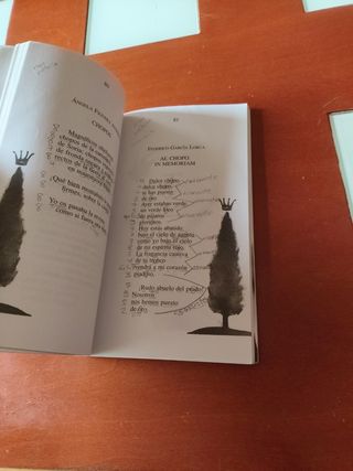 Poesía española para jóvenes (Spanish Edition)
