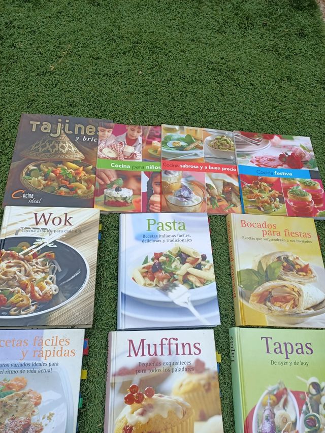 Libros de cocina lote