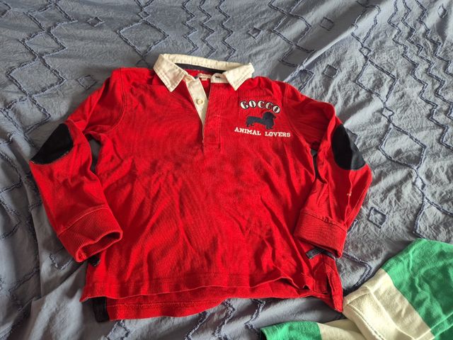 Lote 5 Polos Niño Gocco