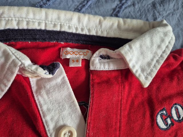 Lote 5 Polos Niño Gocco