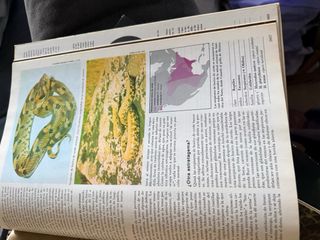 Enciclopedia De La Vida Animal Volume 1-12