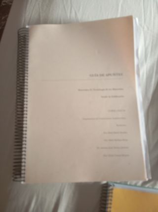 Guia de apuntes materiales II y de expresión gráfi