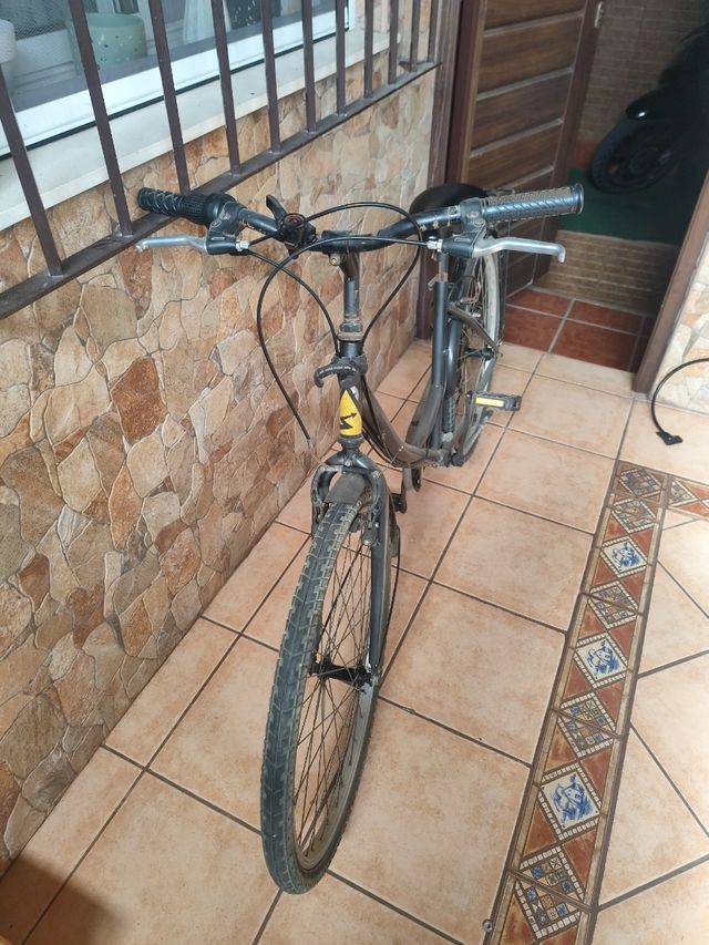 Vendo o cambio Bicicleta Paseo Grande