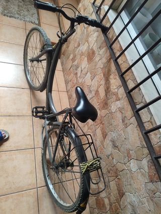Vendo o cambio Bicicleta Paseo Grande