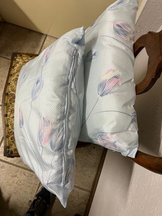 Coppia Cuscini camertta di colore azzurro.