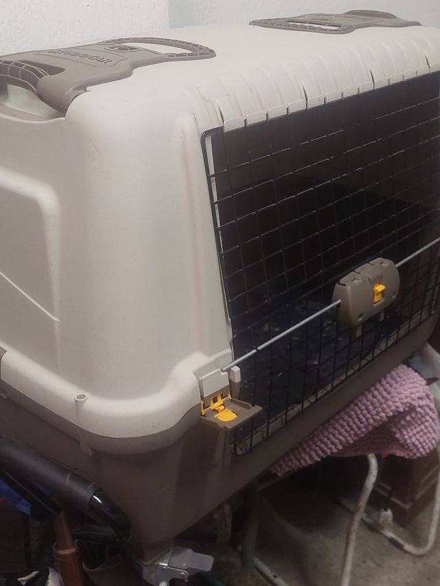 Trasportino per cani beige/grigio