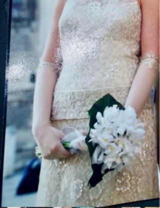 Vestido de Novia Pronovias 
