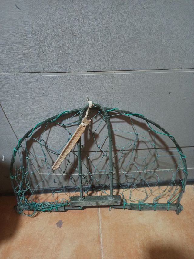 3  trampas para pájaros vivos